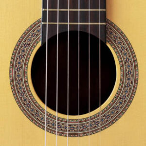 (c) Guitarrasweb.com